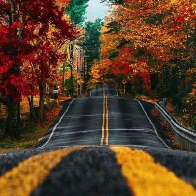 BO半岛综合app安全下载app下载