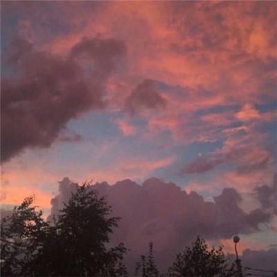 大发国际手机app下载