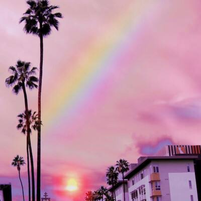 半岛平台半岛官方下载