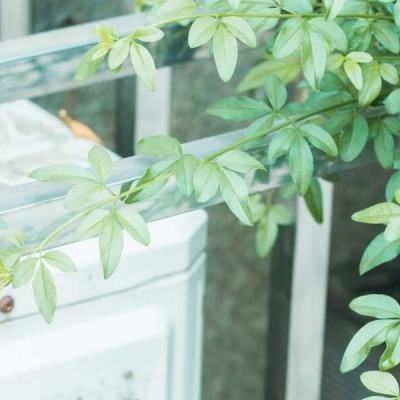 米博体育官方网站入口下载